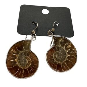 Ammonite Fossil Shell Earrings Raw Open Back Polished Front Natural Fossils